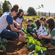 Transição Escolar: desenvolvendo a Educação Plena.